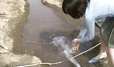 Réunion vidéo où porno de chien et femme la fille montre une pipe tellement cool