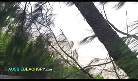 Baise dans xxx avec les animaux le bus