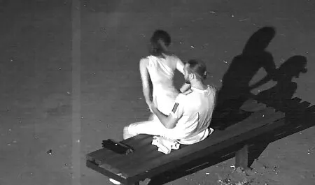 Les poivrons porno animaux avec les femmes noirs font un gros cul.