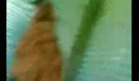 Fille porno femme et son chien sèche dans un entrepôt