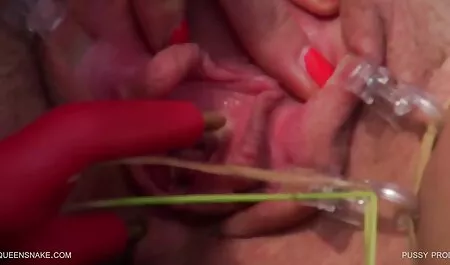 Chauve, laisse-moi venir. blonde gros seins porn