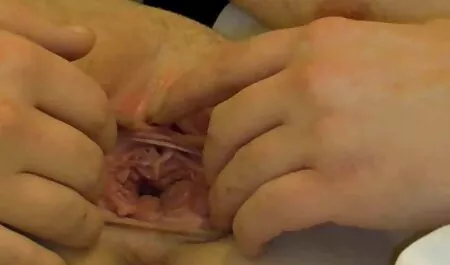 La fille aime être accompagnée de absoluporn africain trois hommes.