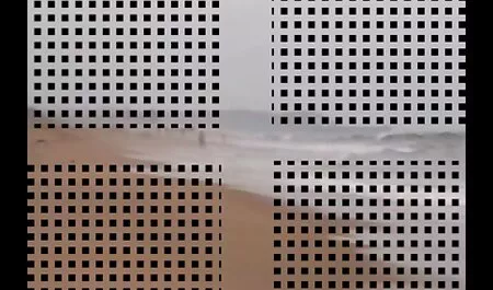 Deux prostituées dans un avion. cheval avec femme porno