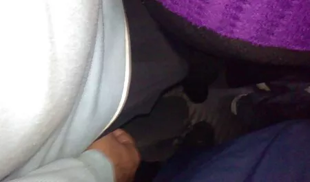 Un xxx femme et chien homme baisée dans l'arrière salle une fille est allé au casting porno